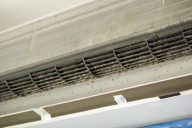 Best Best Air Duct Cleaning Company  in Bayshore, NC