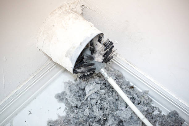 Best Air Duct Cleaning Company Near Me  in Bayshore, NC